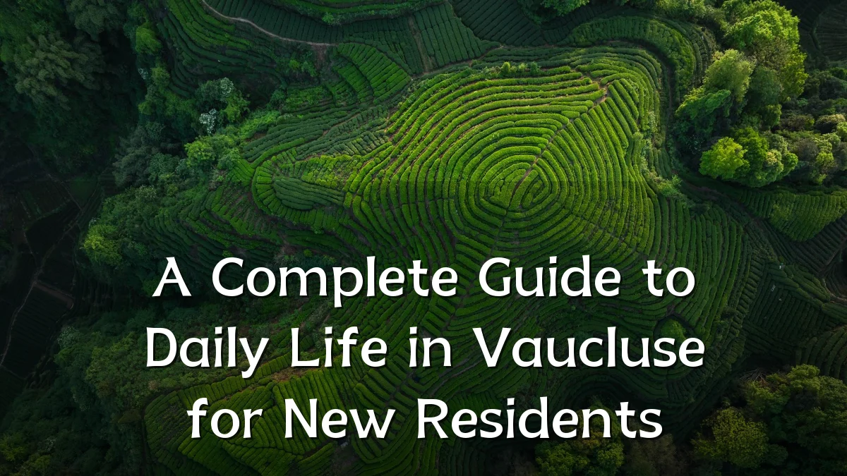A Complete Guide to Daily Life in Vaucluse for New Residents