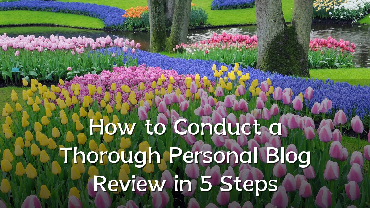 How to Conduct a Thorough Personal Blog Review in 5 Steps
