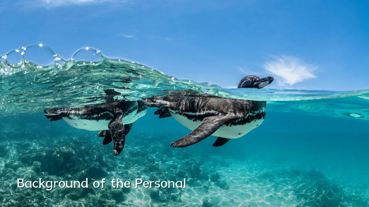 Background of the Personal