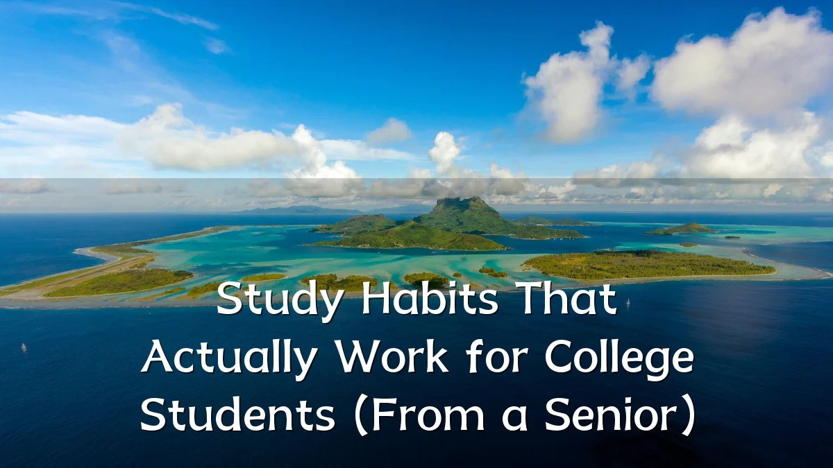 Study Habits That Actually Work for College Students (From a Senior)