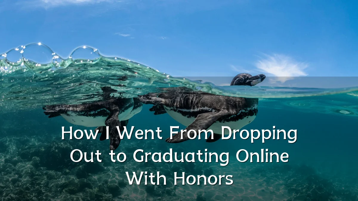How I Went From Dropping Out to Graduating Online With Honors