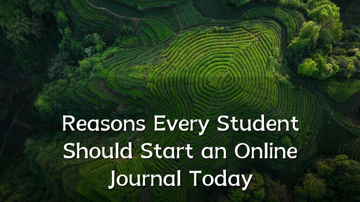 Reasons Every Student Should Start an Online Journal Today
