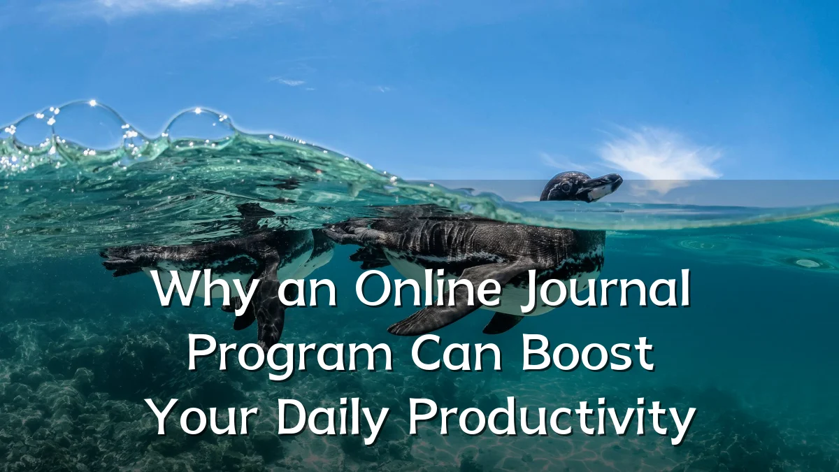 Why an Online Journal Program Can Boost Your Daily Productivity