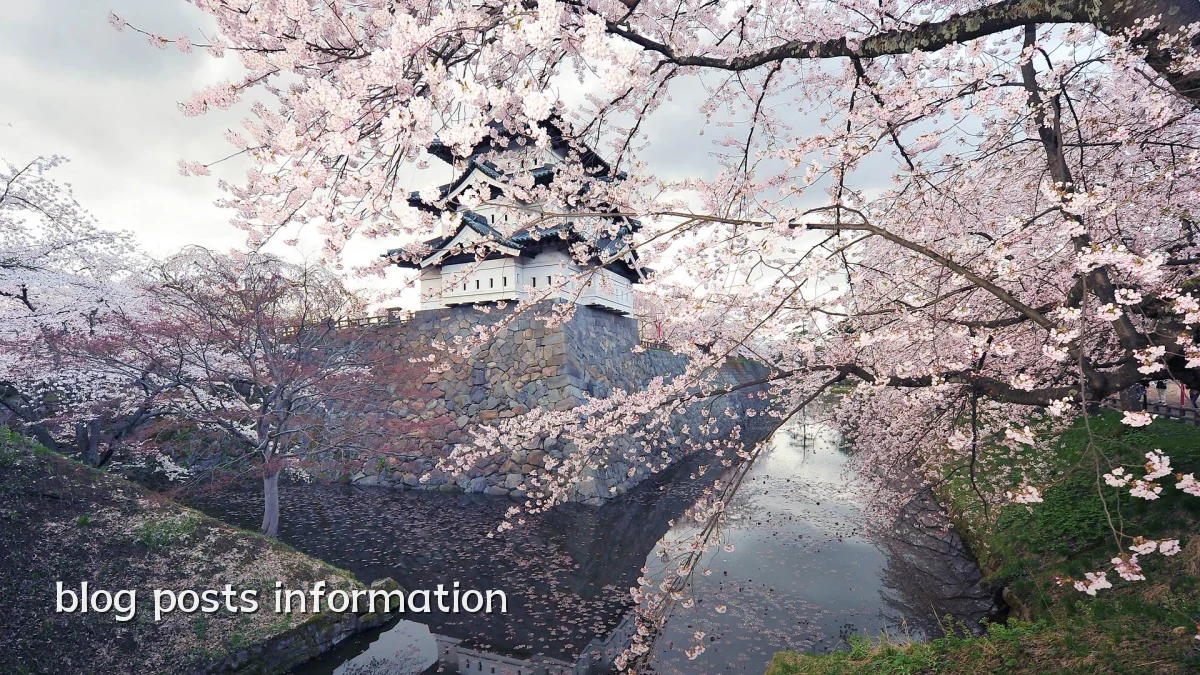 blog posts information