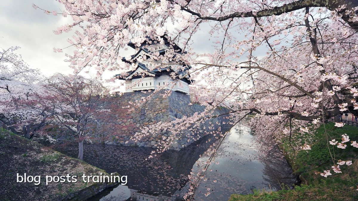 blog posts training