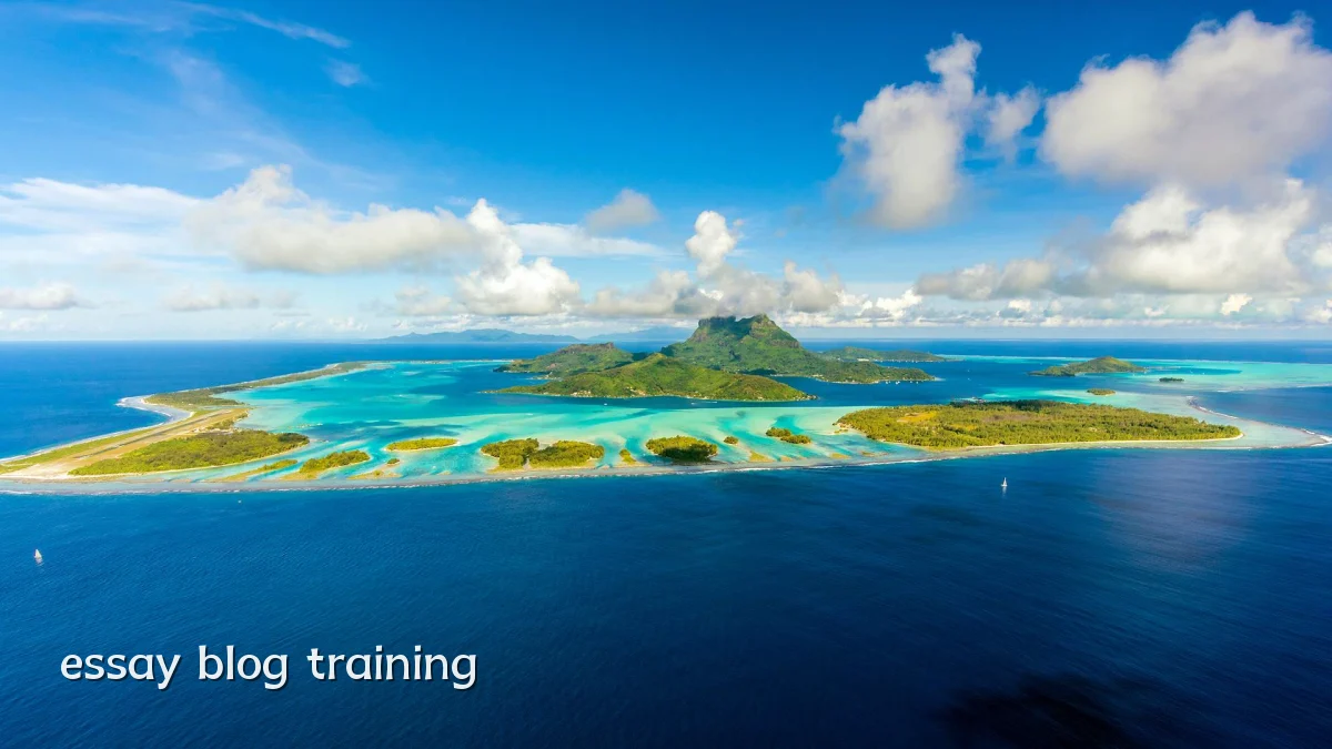 essay blog training