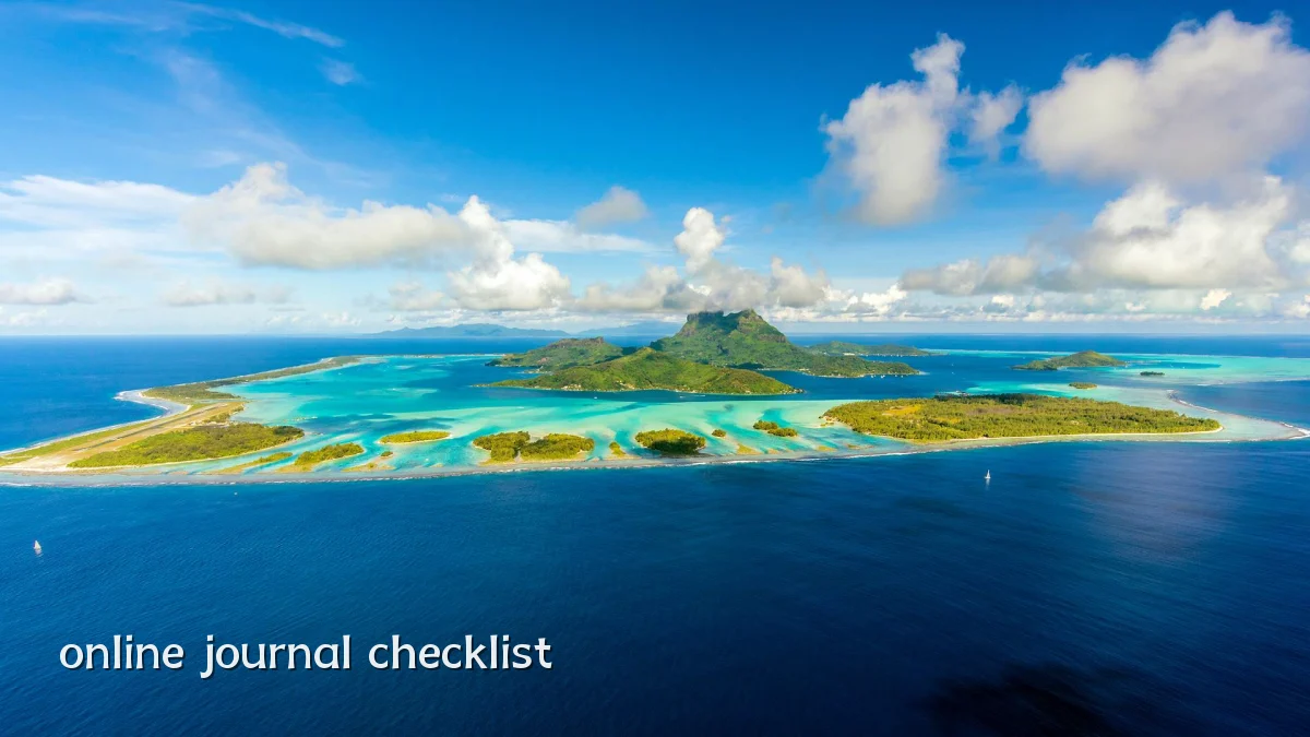 online journal checklist