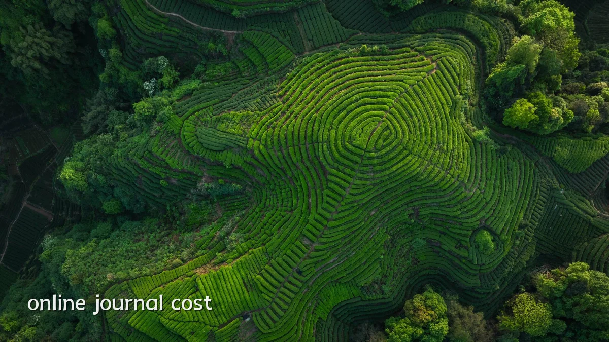online journal cost