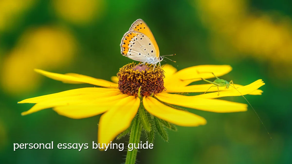 personal essays buying guide