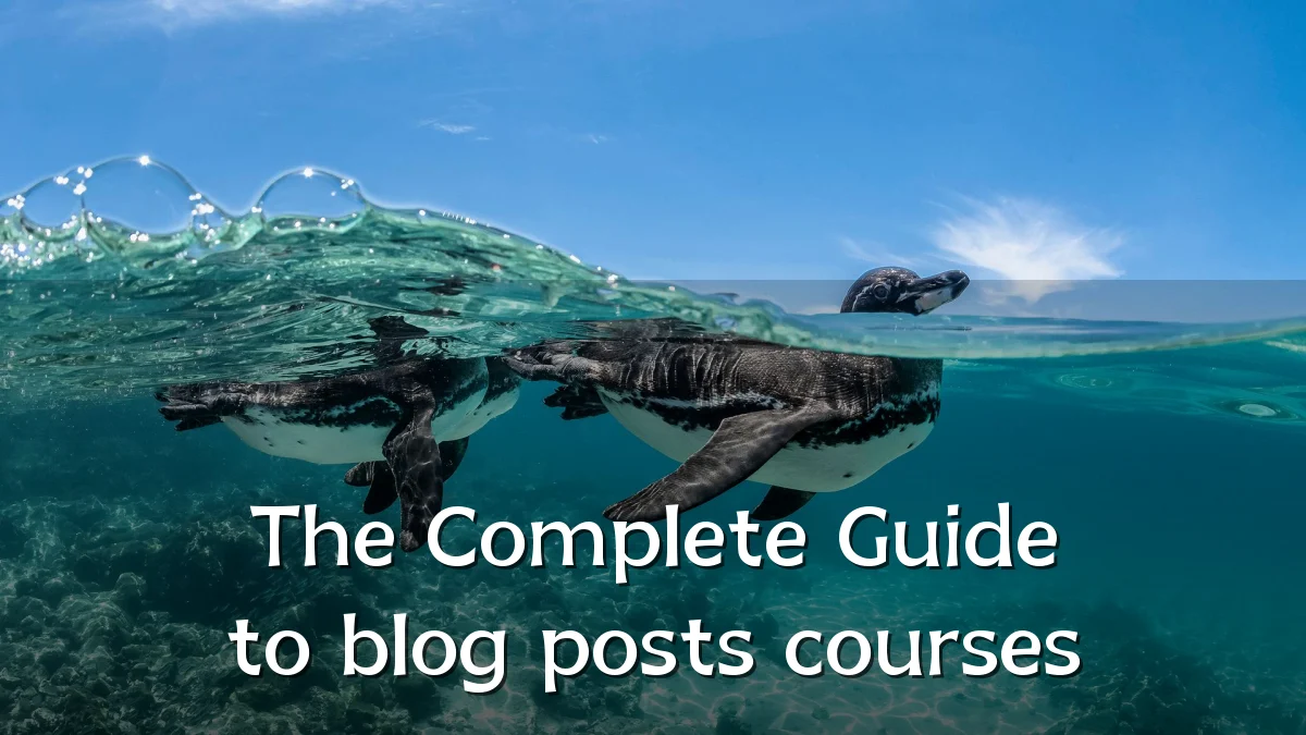The Complete Guide to blog posts courses