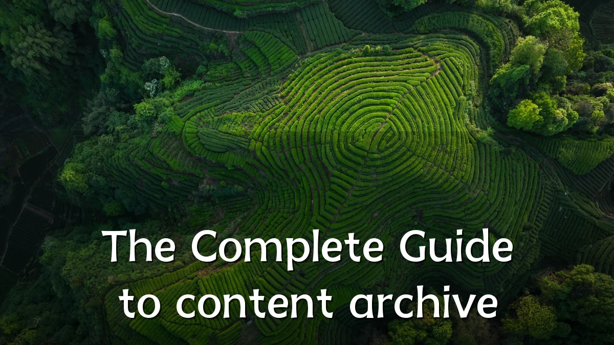 The Complete Guide to content archive