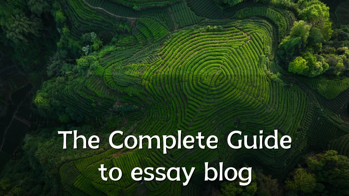 The Complete Guide to essay blog