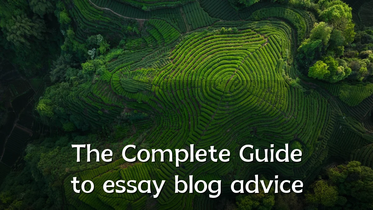 The Complete Guide to essay blog advice