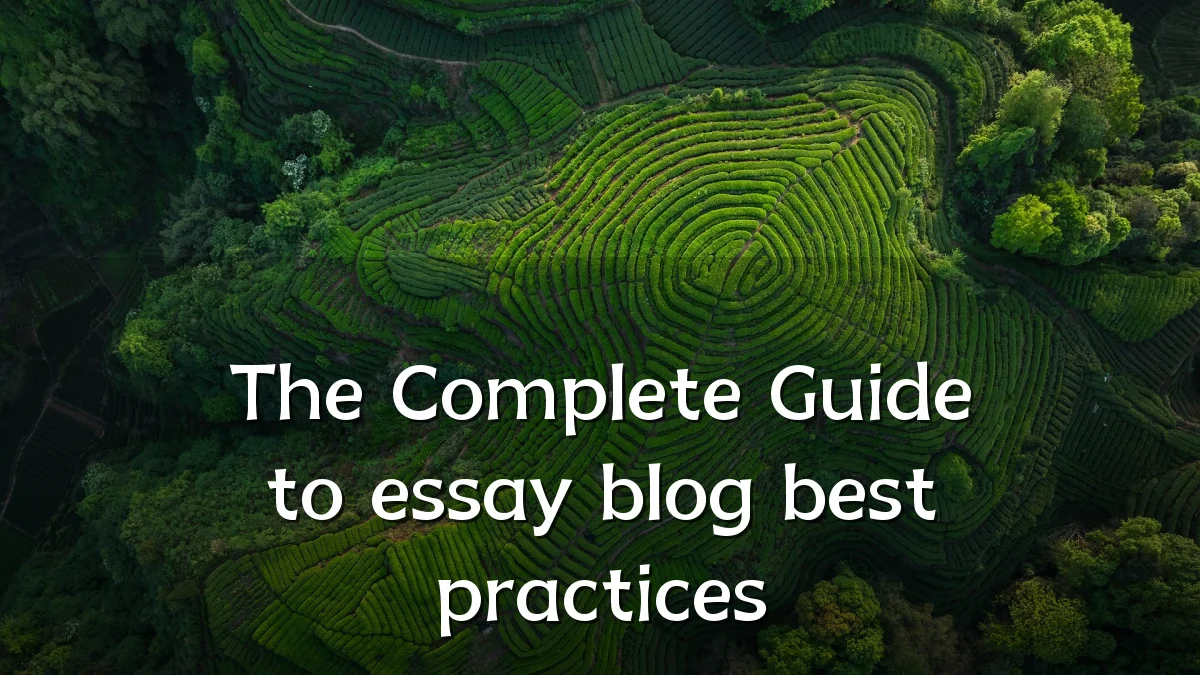 The Complete Guide to essay blog best practices