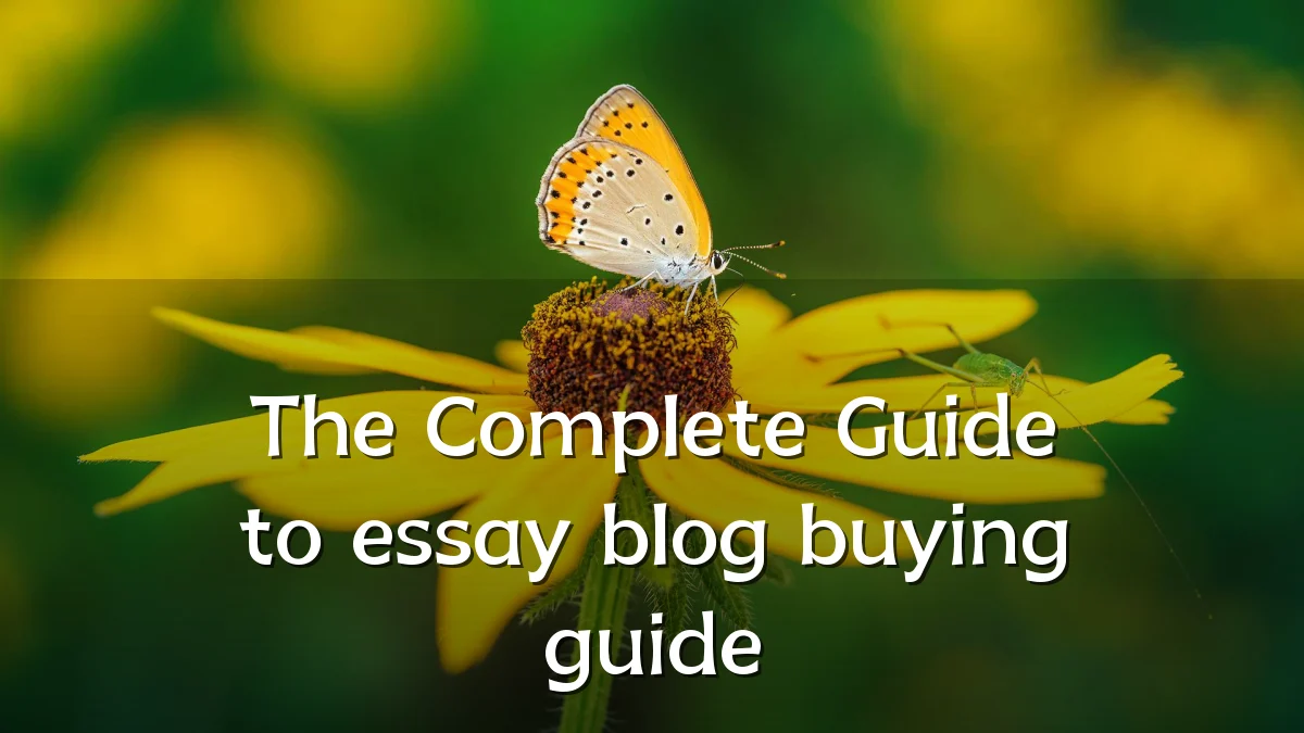 The Complete Guide to essay blog buying guide