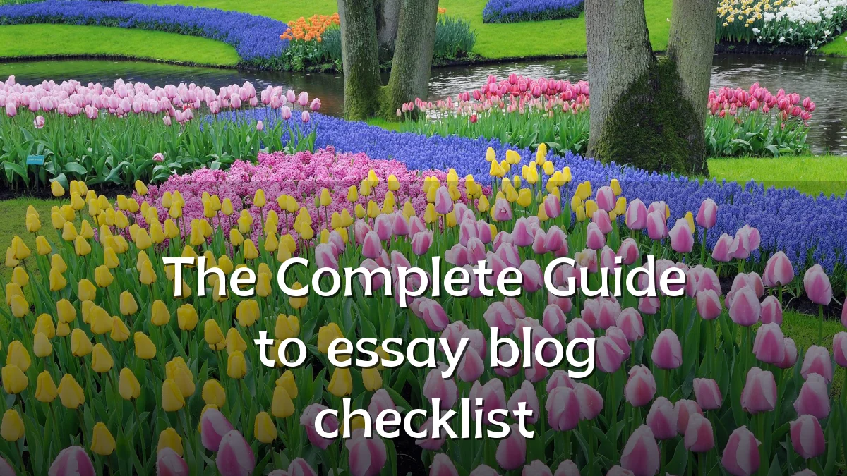 The Complete Guide to essay blog checklist