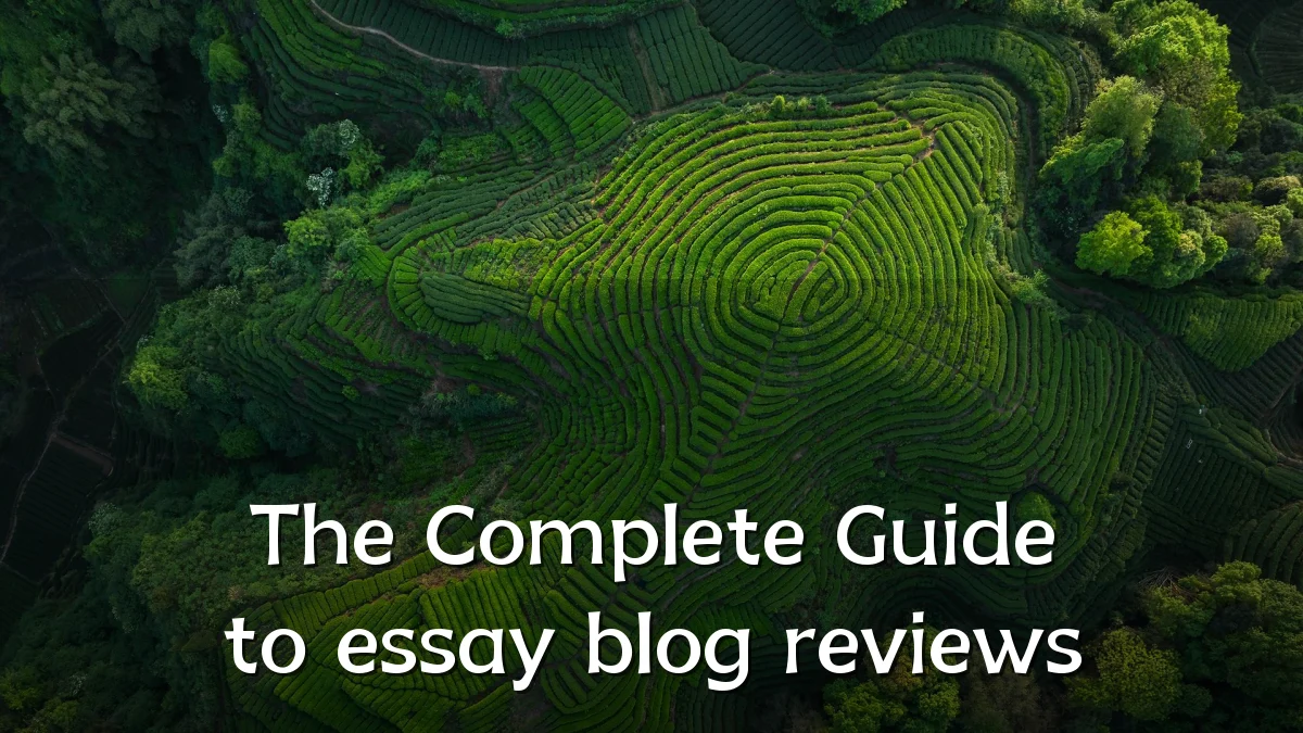 The Complete Guide to essay blog reviews