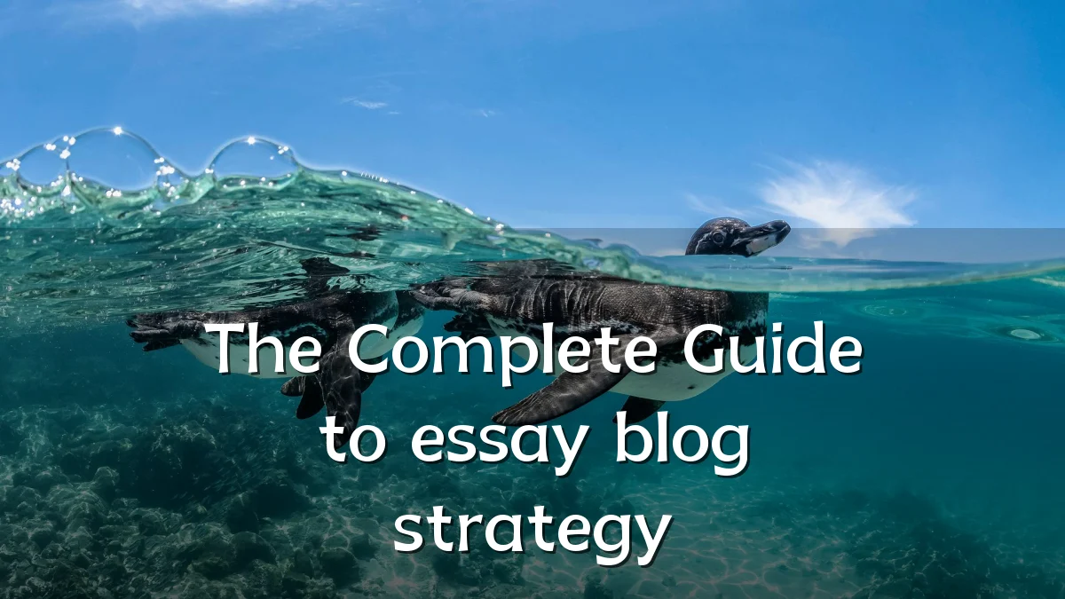 The Complete Guide to essay blog strategy