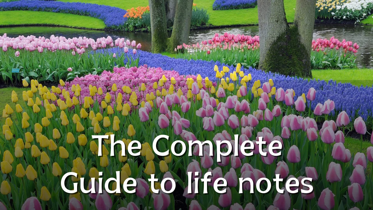 The Complete Guide to life notes