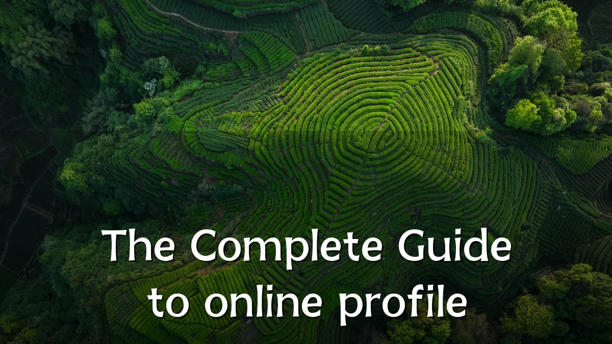 The Complete Guide to online profile