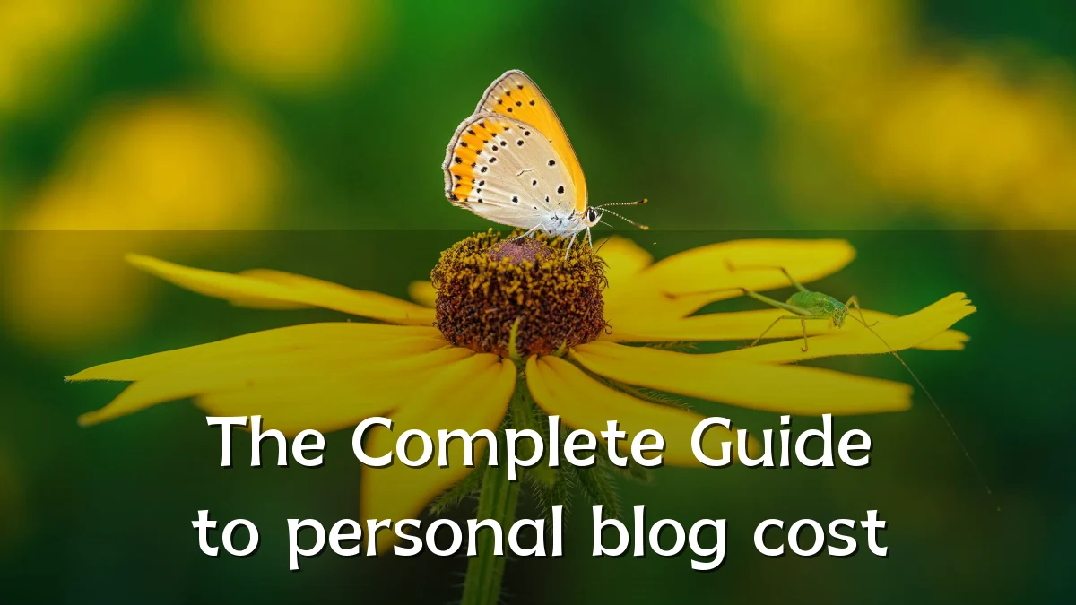 The Complete Guide to personal blog cost