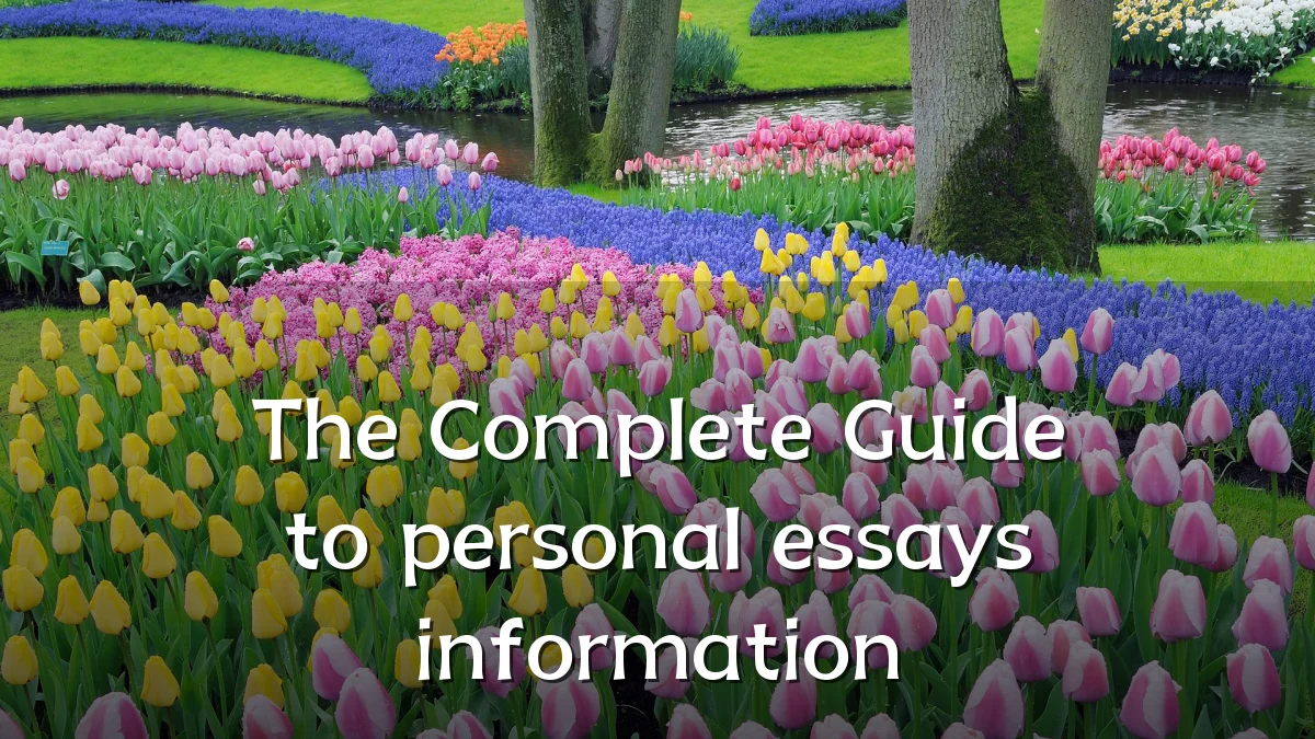 The Complete Guide to personal essays information