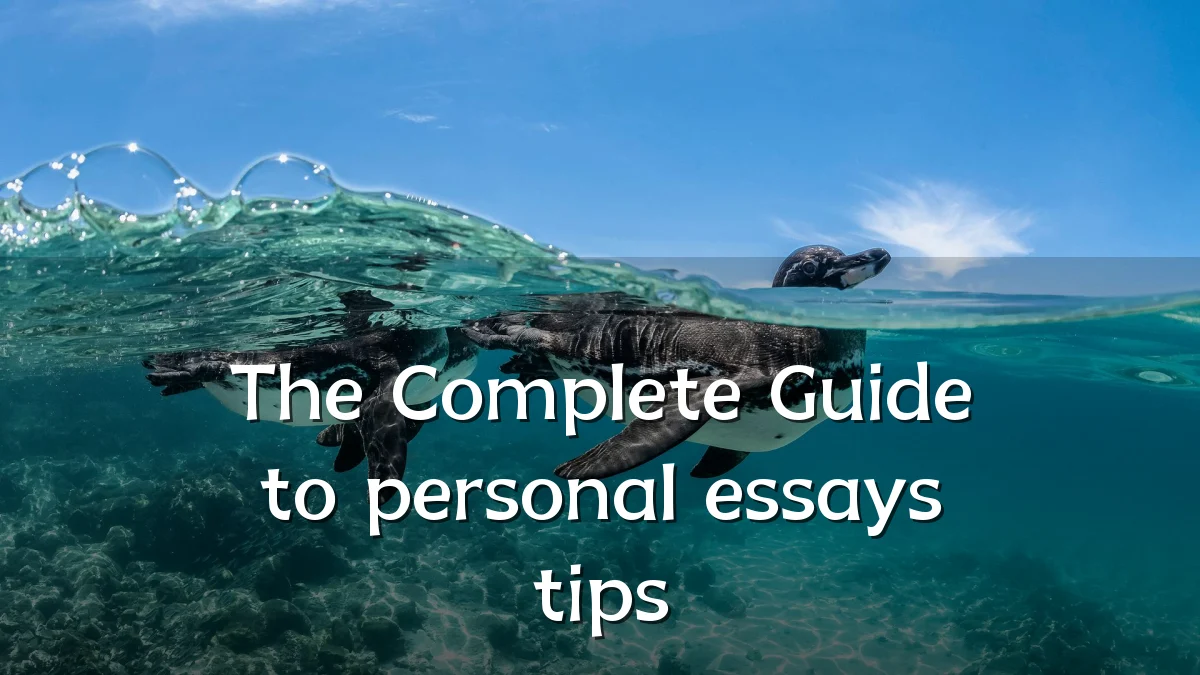 The Complete Guide to personal essays tips