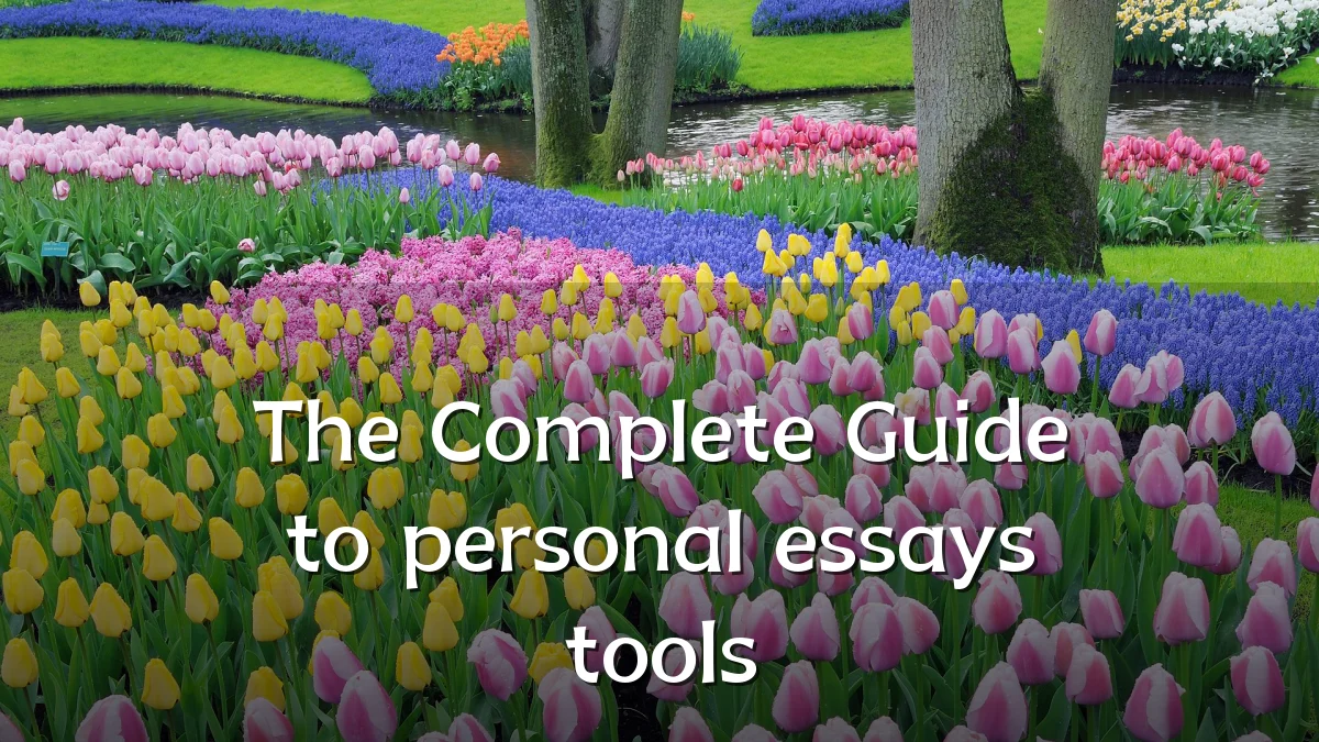 The Complete Guide to personal essays tools